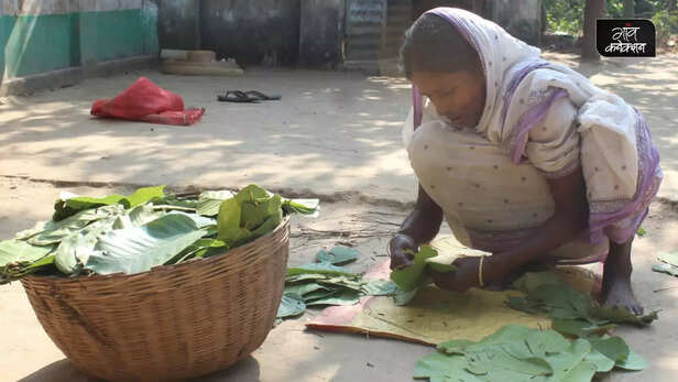 367439-sal-leaves-tribal-women-livelihood-bankura-west-bengal-gender-health-wildlife-4