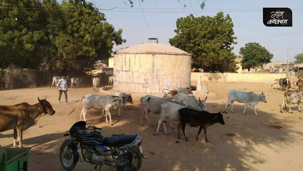 362375-gaon-moment-11