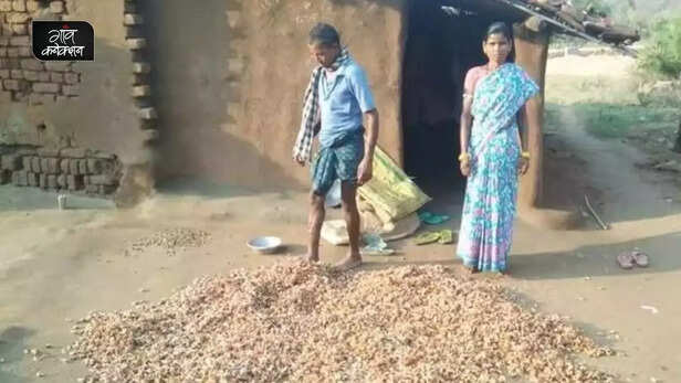 359086-tribal-community-odisha-mahua-flower-economy-msp-livelihood-2