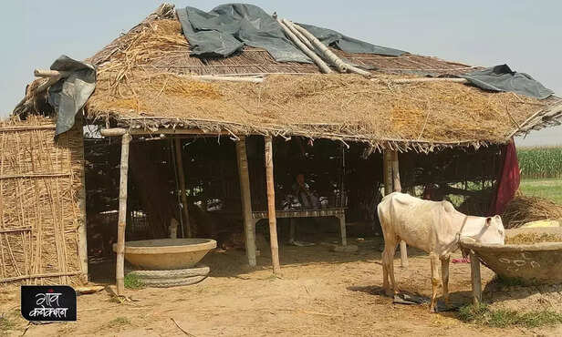 360120-kosi-river-survey-bihar-river-embankment-land-survey-kosi-flood-agriculture-land-4