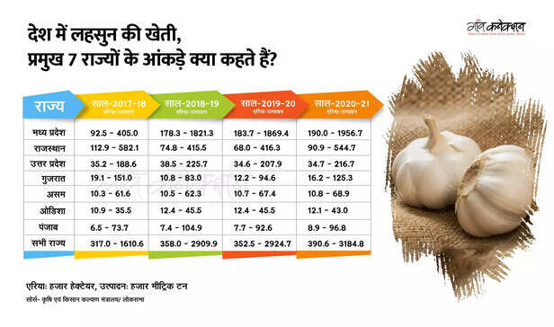 357759-status-of-garlic-cultivation-government-lok-sabha-garlic-cultivation-area-production-1-scaled