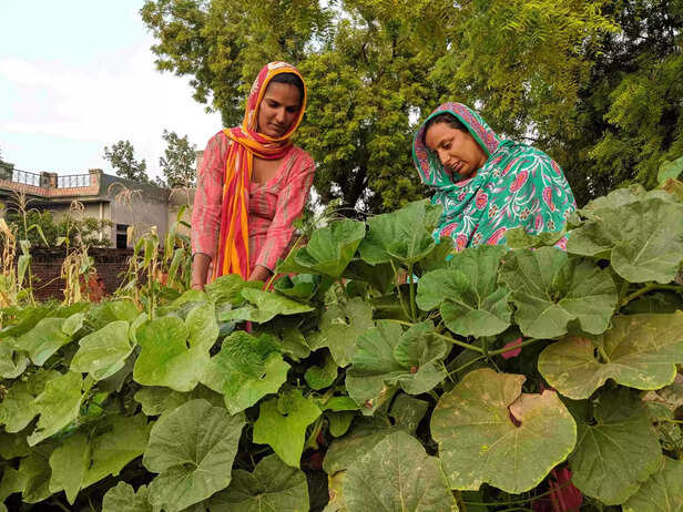 355246-poshan-mah-2-scaled