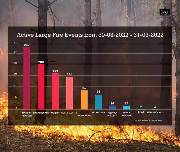 358771-358753-whatsapp-image-2022-04-01-at-71343-pm-1