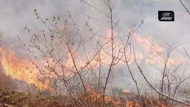 358772-forest-fire-climate-change-heat-wave-madhya-pradesh-chhattisgarh-odisha-rajasthan-forest-survey-india-temperature-rise-3