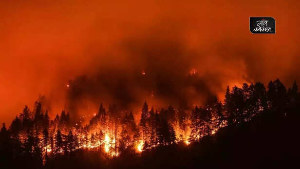 358773-forest-fire-climate-change-heat-wave-madhya-pradesh-chhattisgarh-odisha-rajasthan-forest-survey-india-temperature-rise-2