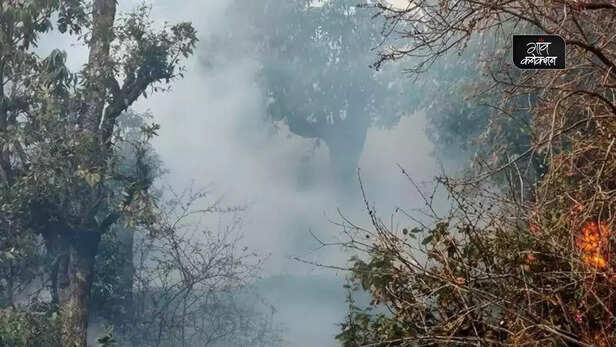 358774-forest-fire-climate-change-heat-wave-madhya-pradesh-chhattisgarh-odisha-rajasthan-forest-survey-india-temperature-rise-1