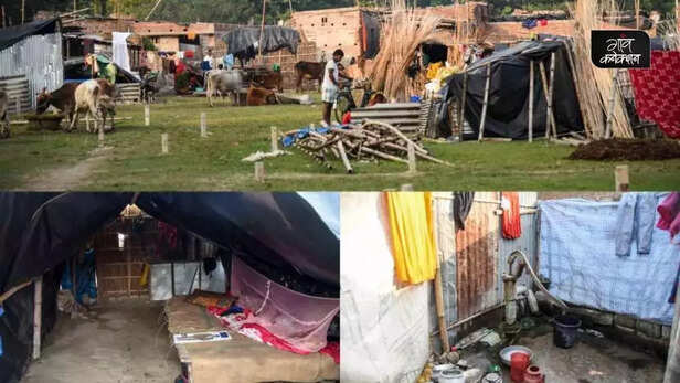 356931-west-bengal-bengal-ganga-river-flood-homeless-families-rehabilitation-4