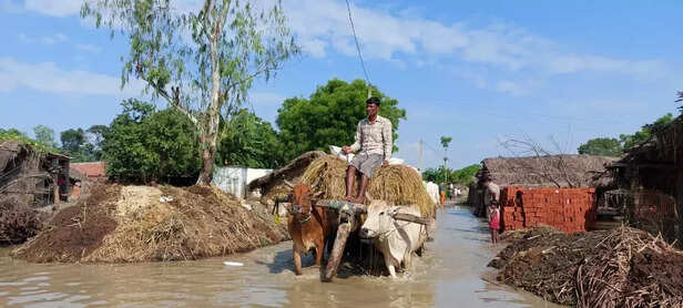 356105-flood-situation-in-dozens-of-villages-of-lakhimpur-district