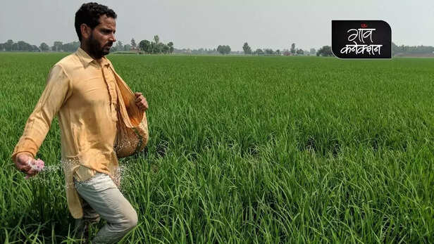 356014-lakhimpur-kheri-sikh-farmers-mini-punjab-uttar-pradesh-farmers-protest-arsenic-groundwater-health-agriculture-farming-gaon-connection-5