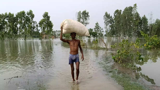 355029-flood-in-sitapur-animal-fooder