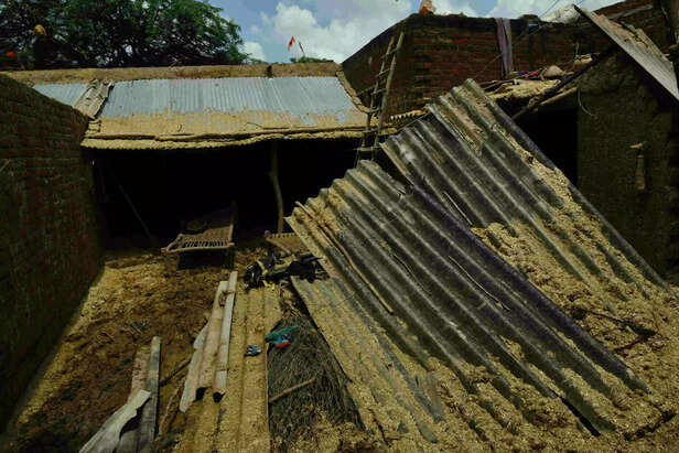 355028-flood-and-animal-scaled