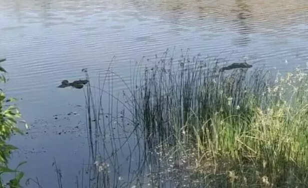 353136-20210512195142