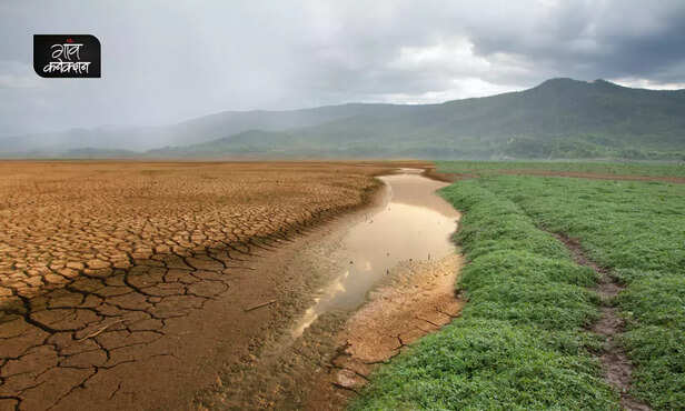 365507-global-warming-endangered-species-university-of-cape-town-research-climate-change-1
