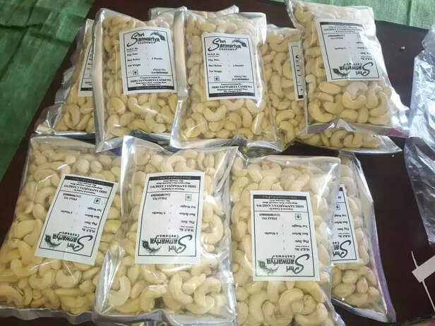 352661-cashew-farming-in-india-1