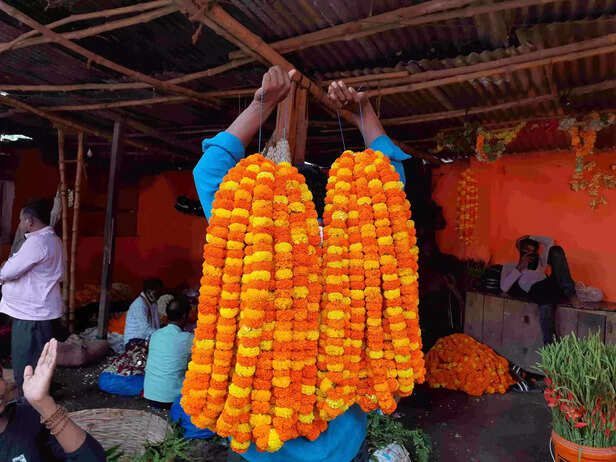 353741-due-to-corona-in-flower-market-varanasi-scaled