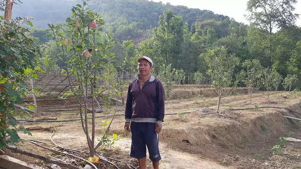 353714-apple-farming-in-champhai-mizoram-ukhrul-manipur-northeast-state-csir-ihbt-1