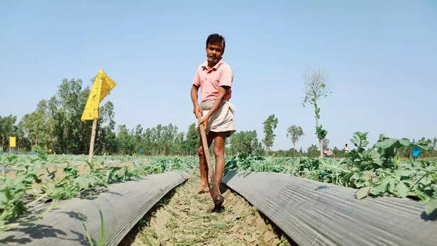 352227-migrant-workers-who-are-now-forced-to-become-daily-wage-laborers