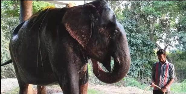 354008-whatsapp-image-2021-06-19-at-204514