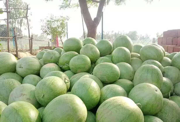 352855-corona-second-wave-agriculture-gaon-connection-1