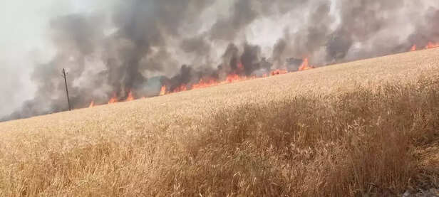 352747-whatsapp-image-2021-04-24-at-64846-pm