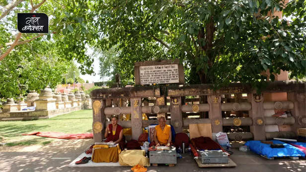 365040-gaon-moment-15