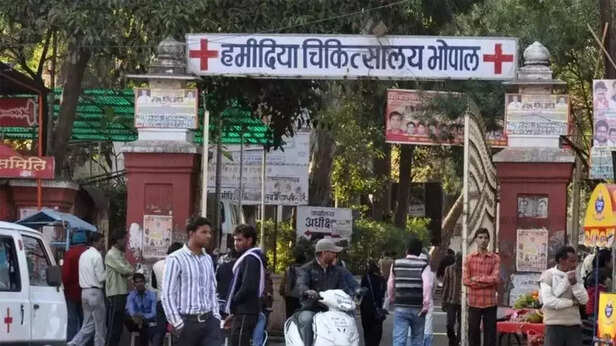 352608-1527431855063zz