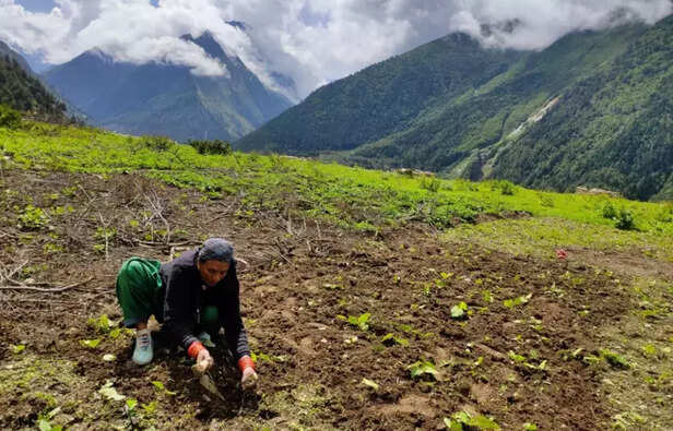 366615-gaon-connection-travel-himachal-pradesh-6