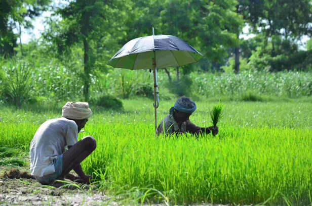 352938-avp4039-scaled