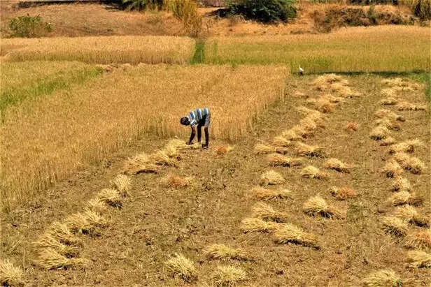 352599-india-4637188960720-1