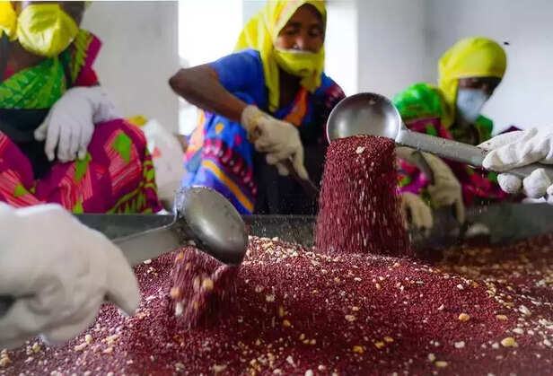 355697-millet-mission-odisha-pulses-ration-malnutrition-naveen-patnaik-women-empowerment-tribal-farmers-rural-health-gaon-connection-1