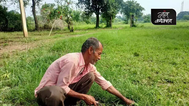 355092-tihaiya-farmers-madhya-pradesh-tribal-farmer-debt-agriculture-farming-3