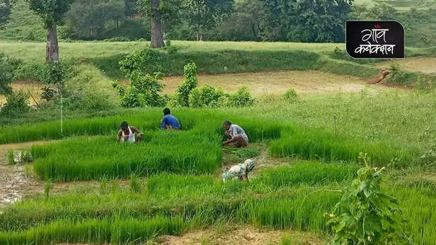 355094-tihaiya-farmers-madhya-pradesh-tribal-farmer-debt-agriculture-farming-2