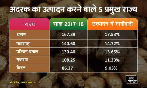 353710-ginger-scaled