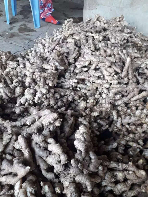 353704-whatsapp-image-2021-06-10-at-113935