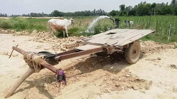 354415-whatsapp-image-2021-07-16-at-111429