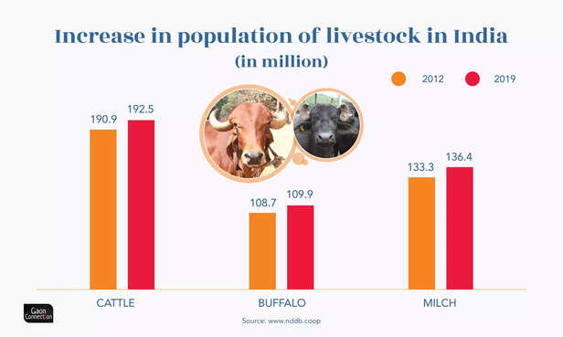 354417-livestock-scaled-1