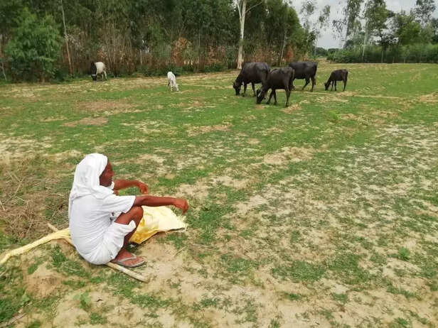 354419-whatsapp-image-2021-07-16-at-111428