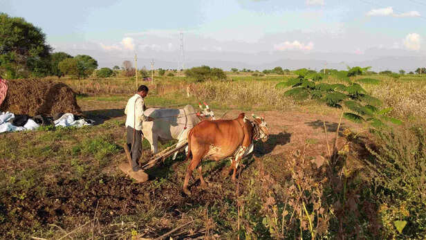 352755-img20191108165139-scaled