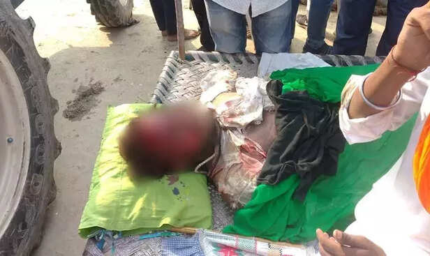 355846-whatsapp-image-2021-10-03-at-83607-pm