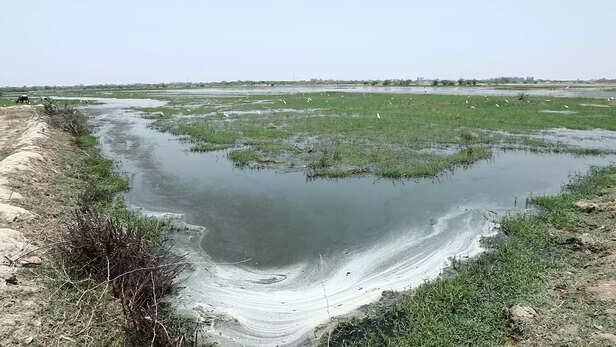 353920-water00030122still012