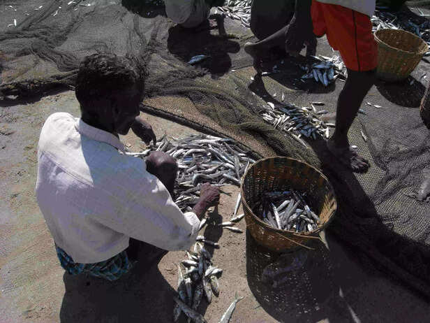 353133-4253285632688d677c23o-scaled