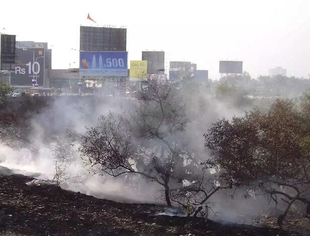 352530-air-pollution-india-gaon-connection-1