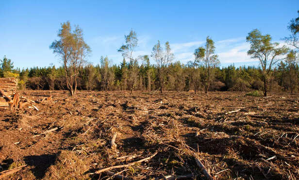 370408-global-warming-climate-change-research-weather-campylobacteriosis-2