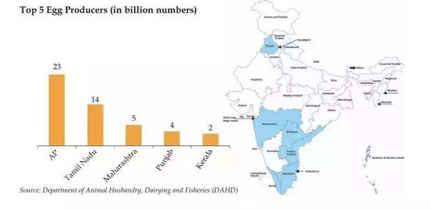 352427-349704-egg-production