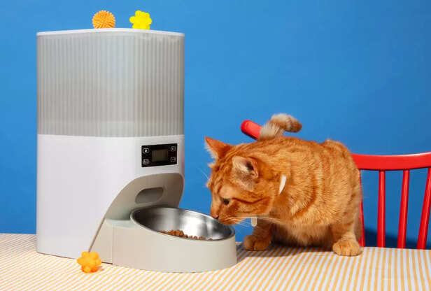 AI Smart Feeders for Pets 