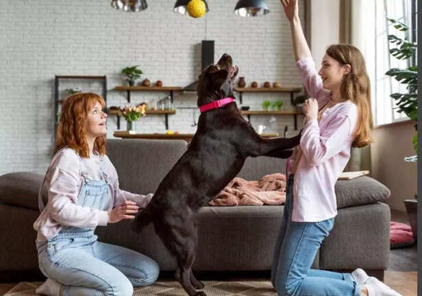 When the fog says no to outdoor play, living rooms turn into playgrounds
