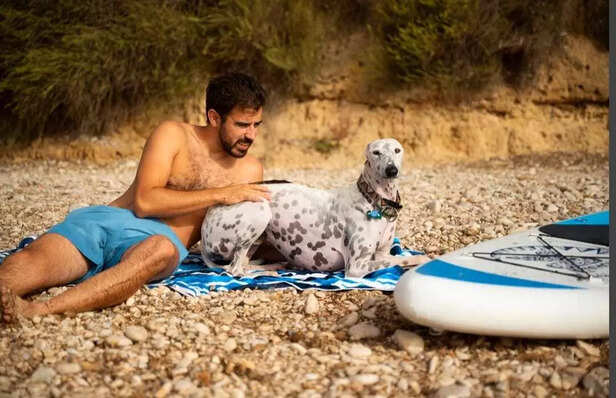 Winter mornings + gentle sunlight + a sleepy dog beside you = pure peace.