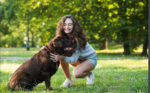Cold noses, warm hearts, and happy barks  park days are always pawfect