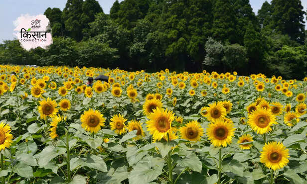 370624-hero-image-16