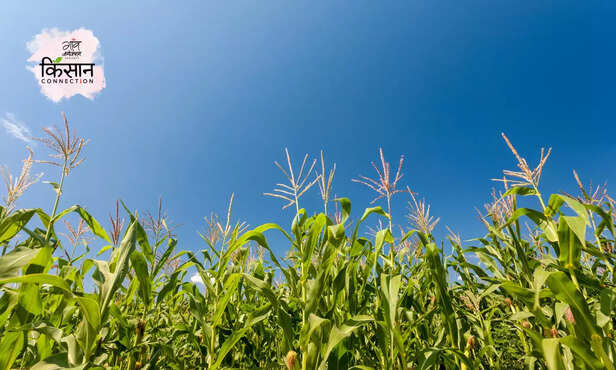 370623-hero-image-15